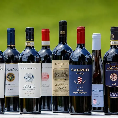 Borgo Del Cabreo Greve in Chianti