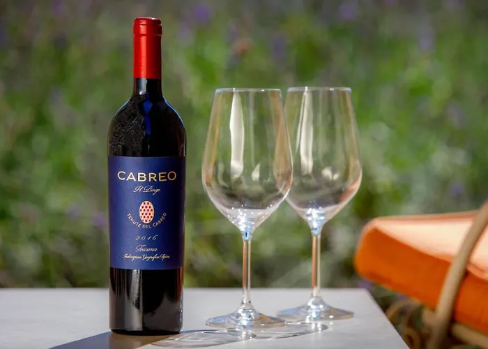 Hotell Borgo Del Cabreo Greve in Chianti